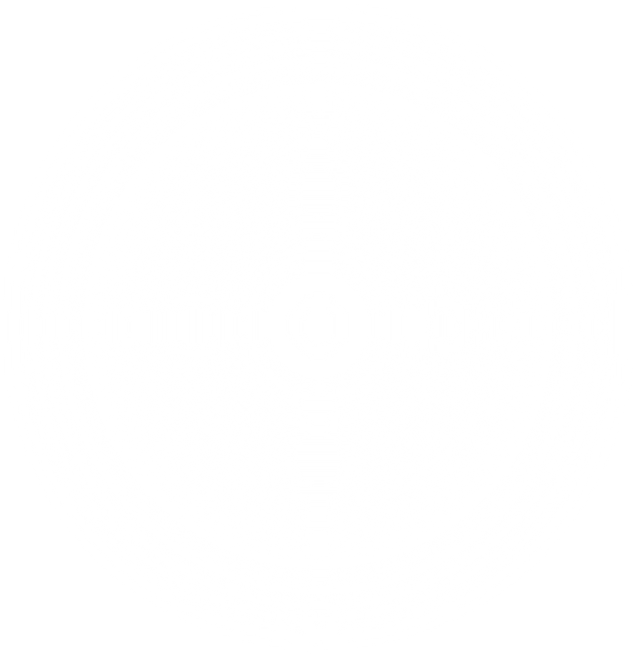 White Gradient Circle